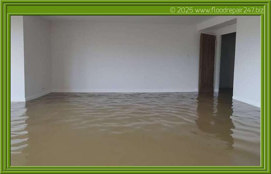 Sweeping Away Trapped Dust: Protect Your Home from Water Damage with Proper Roof Shingle Maintenance - 24h Flooding Damage Restoration Services